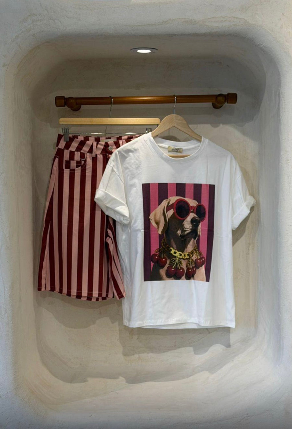 Dolce Canine Tees - Marca Italiana 🇮🇹