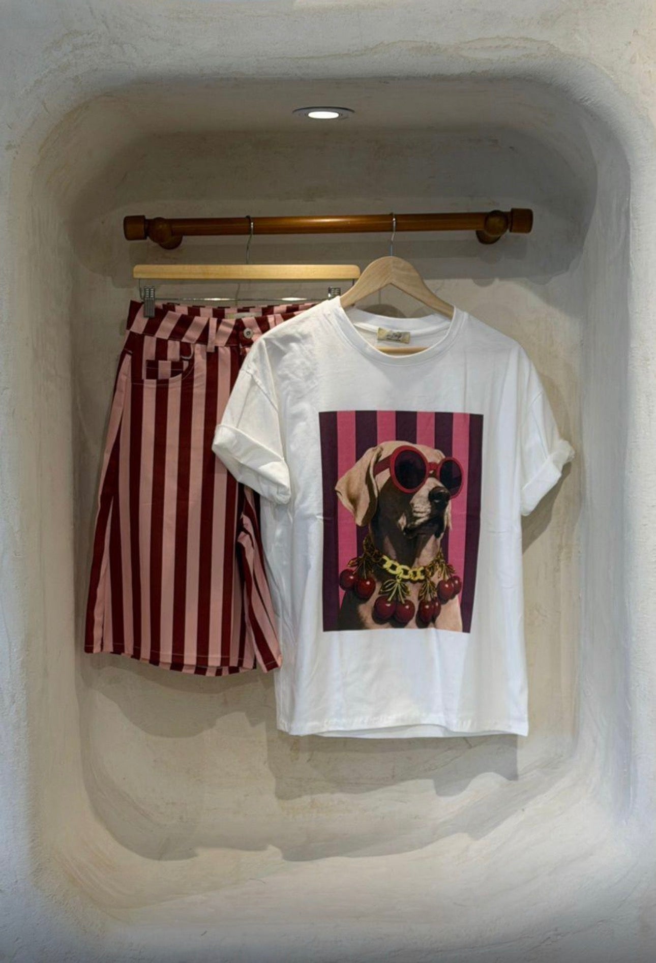 Dolce Canine Tees - Marca Italiana 🇮🇹