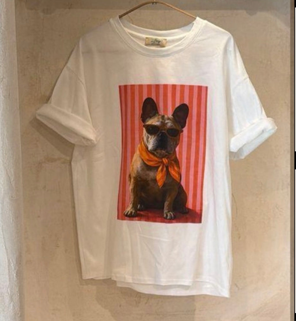 Dolce Canine Tees - Marca Italiana 🇮🇹
