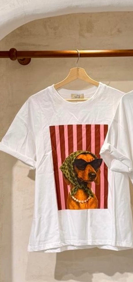 Dolce Canine Tees - Marca Italiana 🇮🇹
