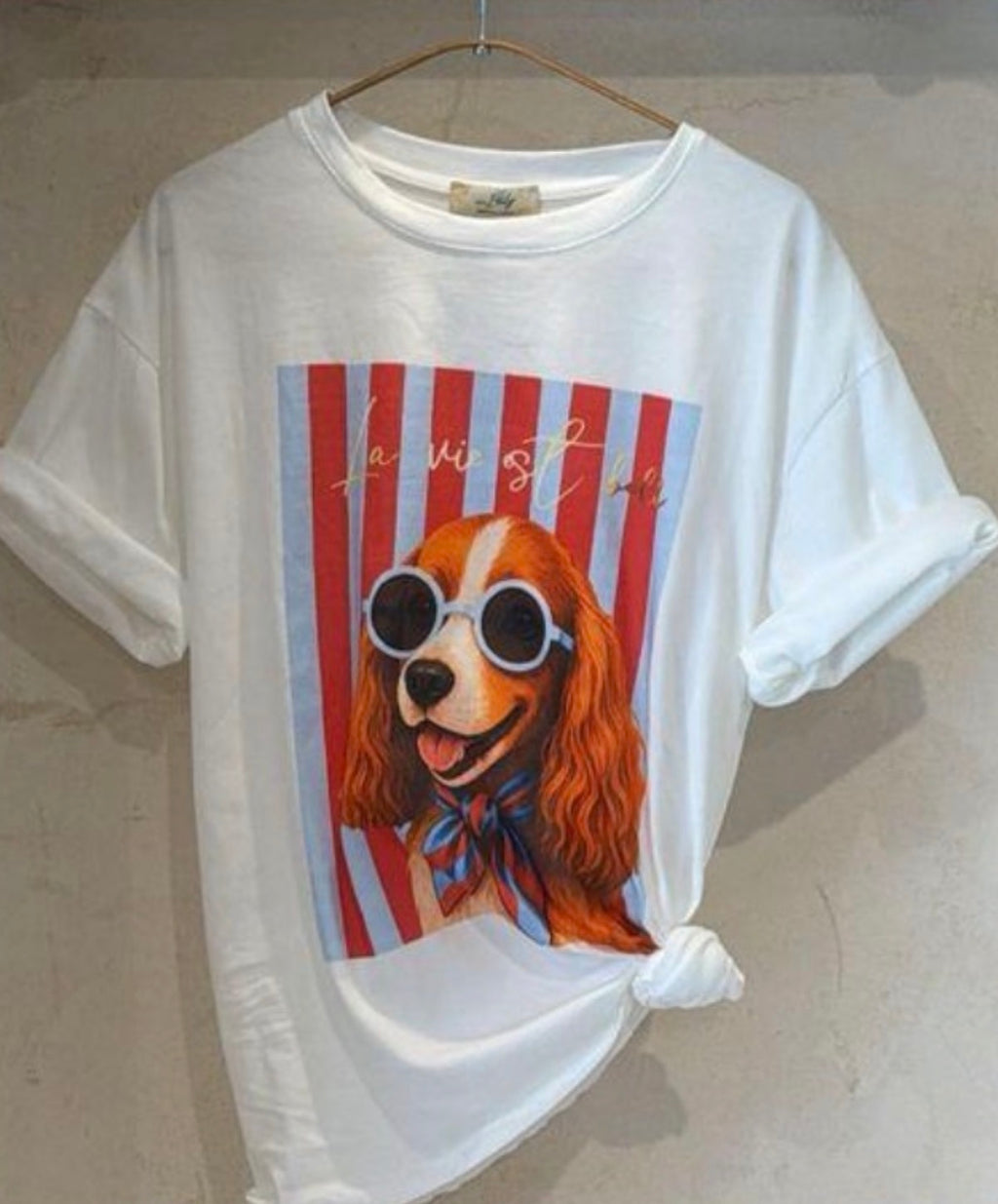 Dolce Canine Tees - Marca Italiana 🇮🇹