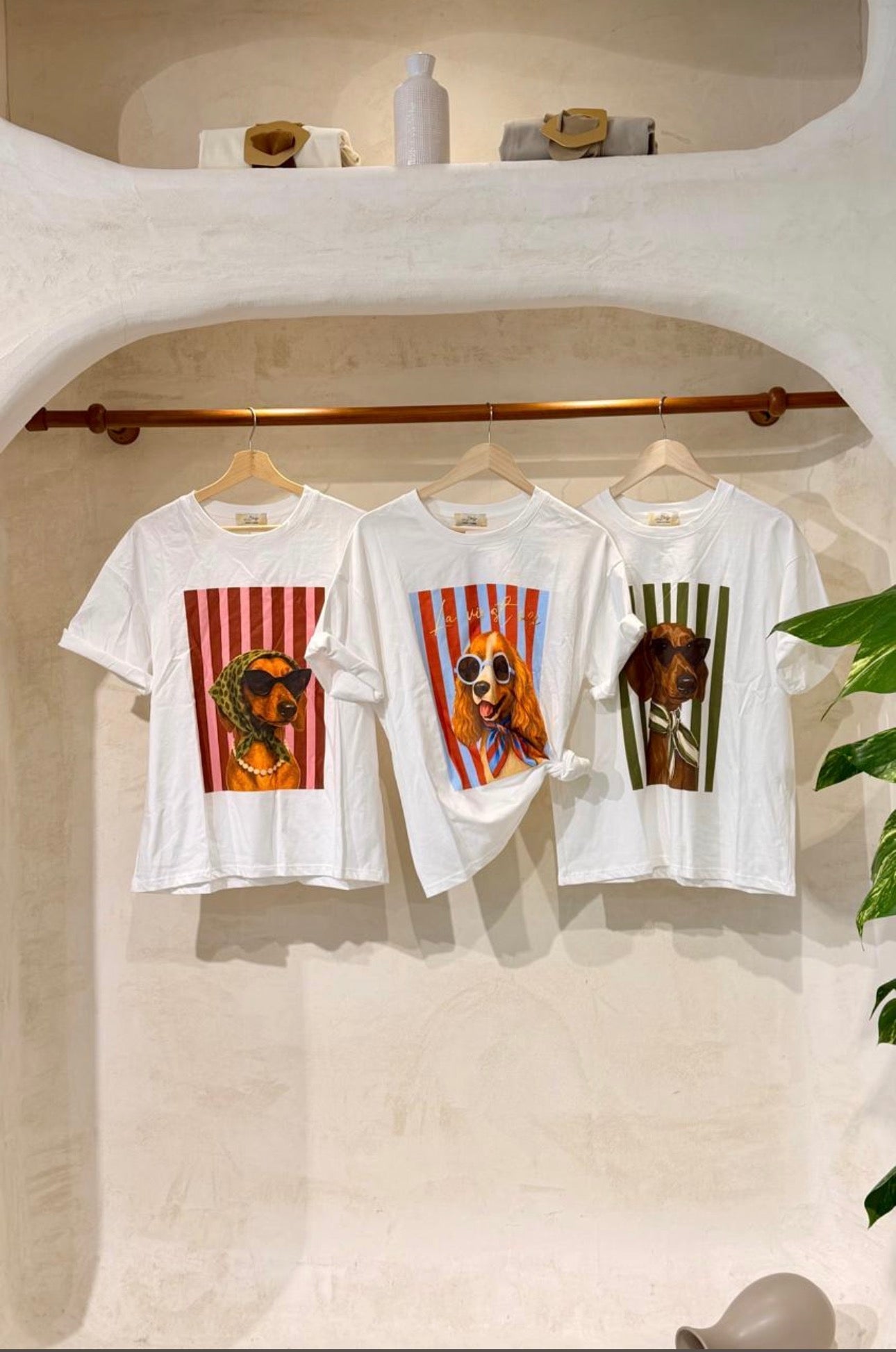 Dolce Canine Tees - Marca Italiana 🇮🇹